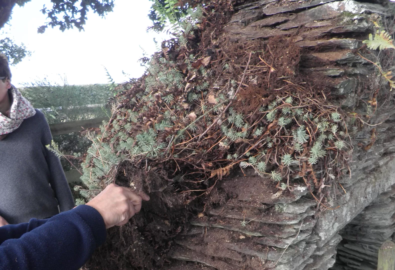 Restauration d'un puits, image 1