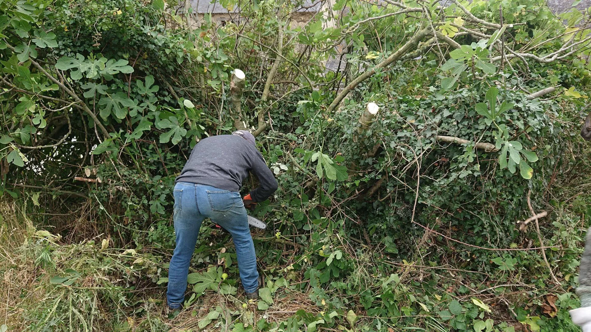 RESTAURATION DES RUINES D'UN VIEUX BATIMENT AU CERGO (Centre d'Entraînement Régional au Galop de l'Ouest) !, image 3